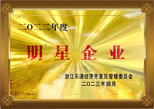 乐清明星企业